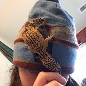 Meet your Posher, Sydney